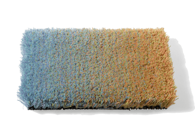 CSrugs-Cameleon-01